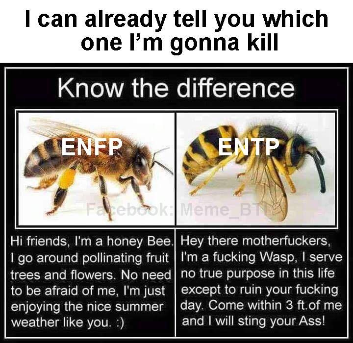 ENFP ENTP Difference