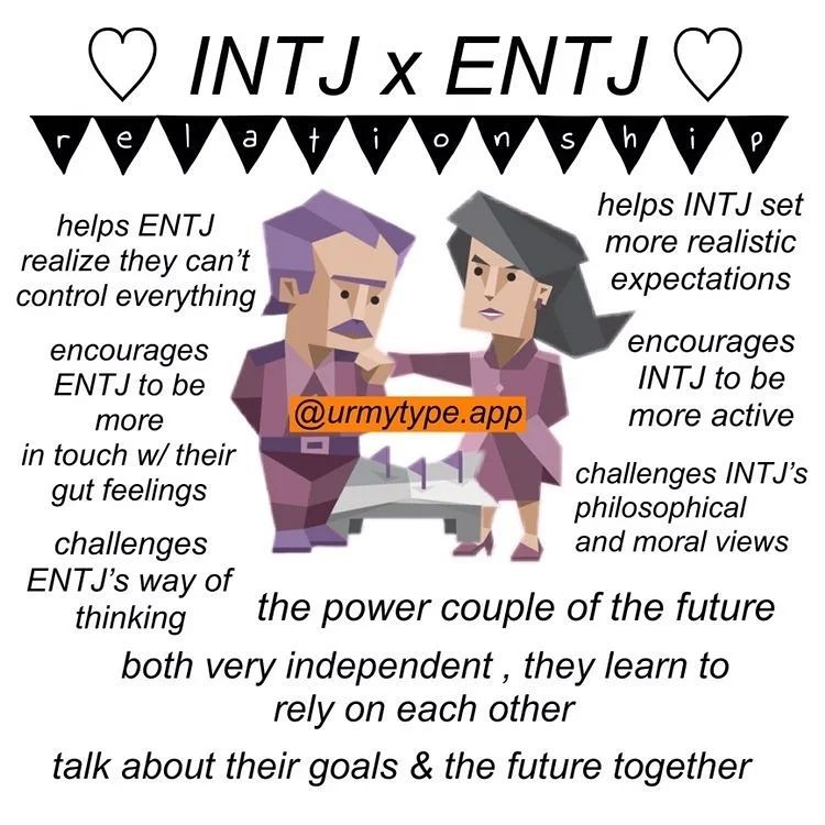 INTJ x ENTJ Compatibility