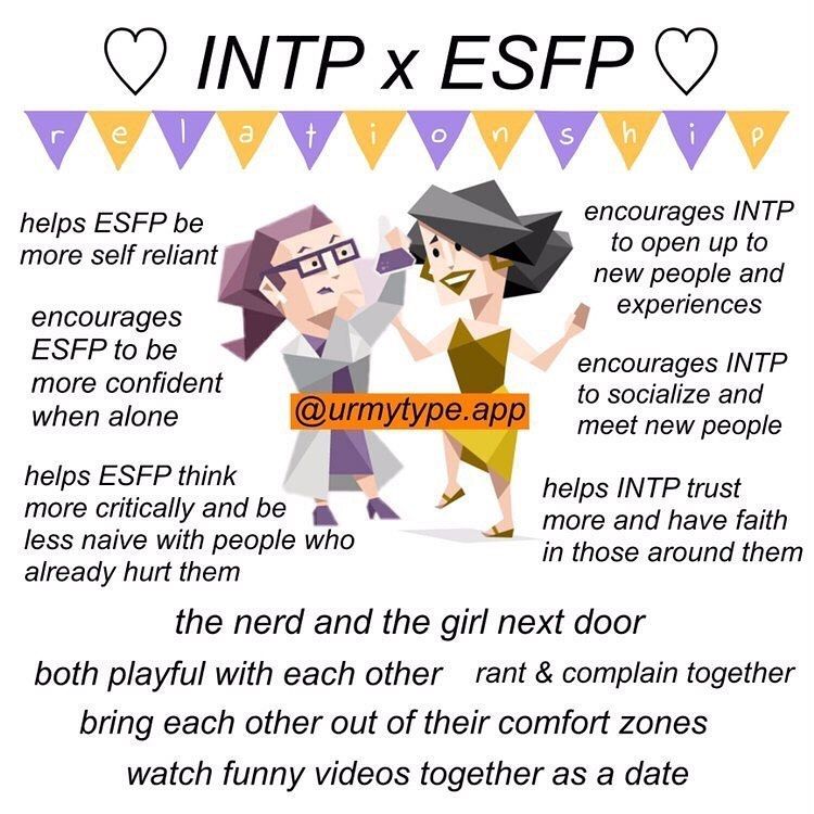 INTP x ESFP Compatibility