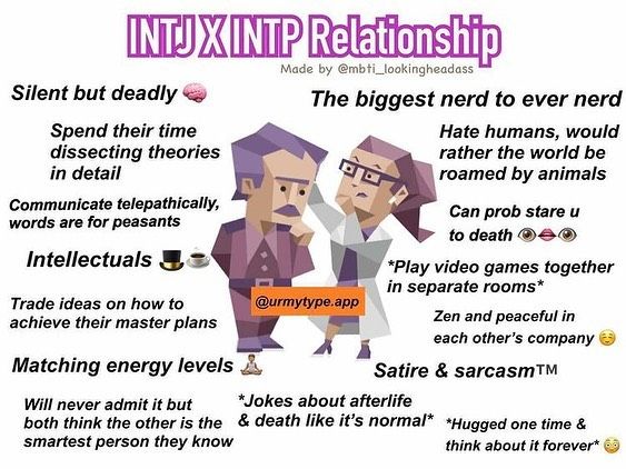 INTP x INTJ Compatibility
