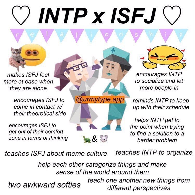 INTP x ISFJ Compatibility