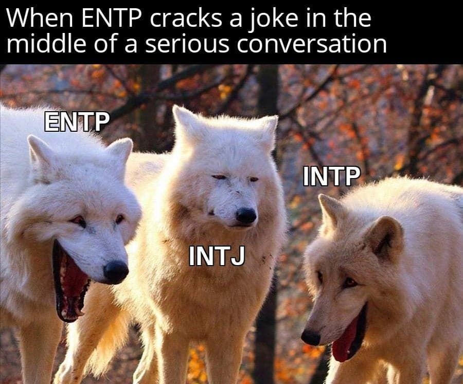 Myers-Briggs MBTI Analysts laugh